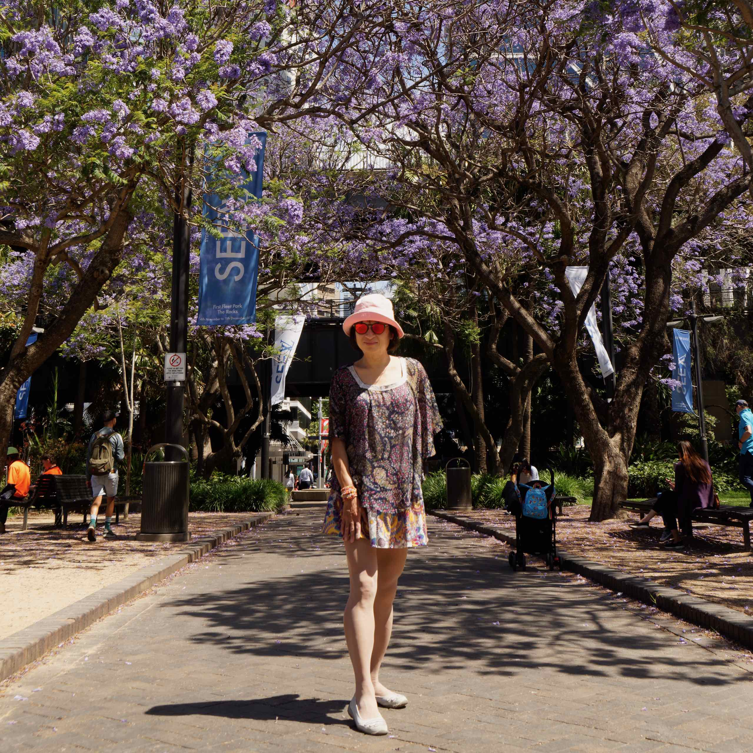 Jacarandas in Sydney featured image